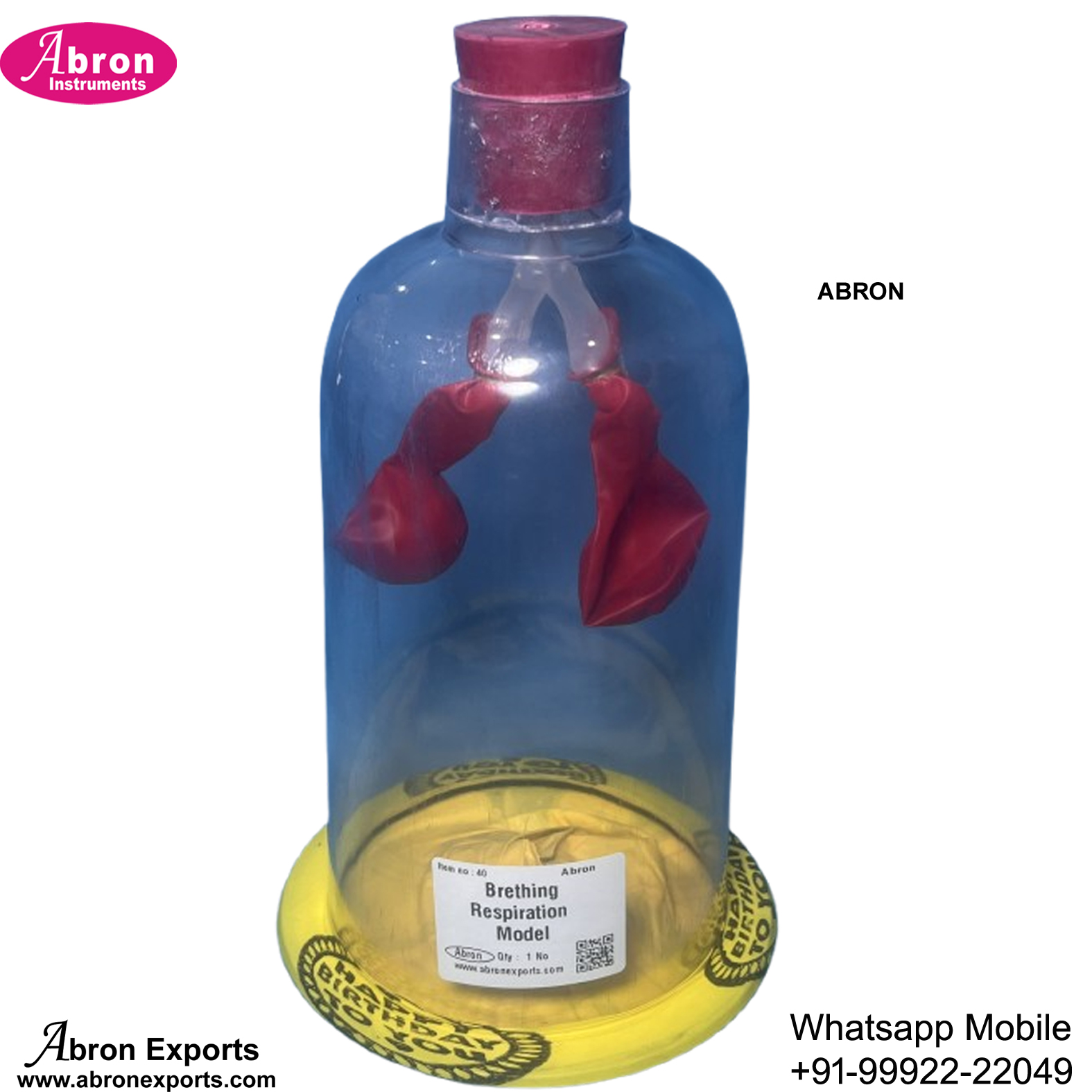 Model Human Lung Lobes Working Model In Jar Rubber Cork Baloon Abron AB-117MB 
